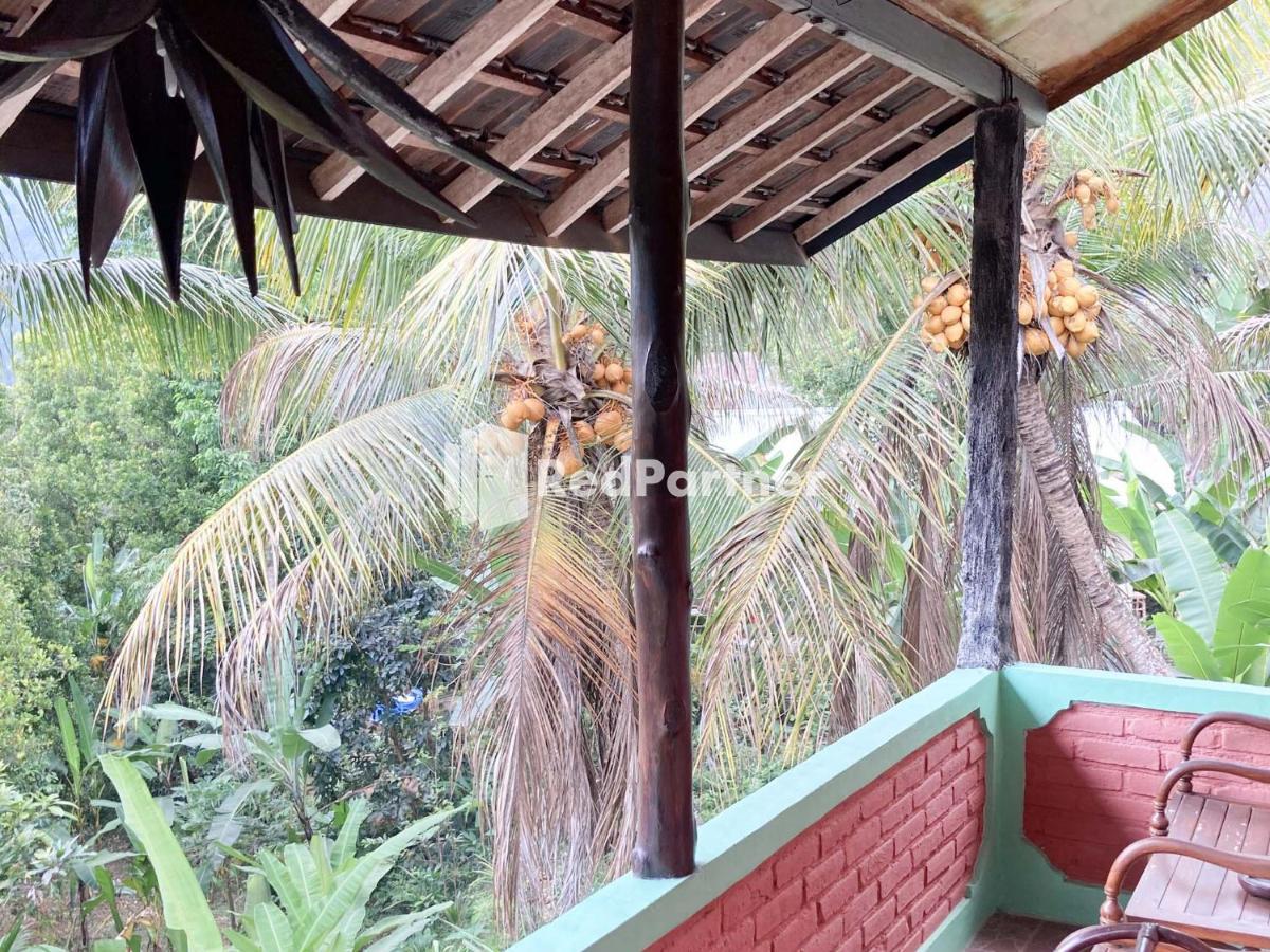 Taman Ayu Homestay Munduk Mitra Reddoorz المظهر الخارجي الصورة